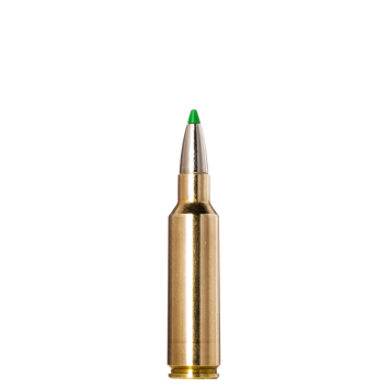 NORMA, 300WSM, ECOSTRIKE...