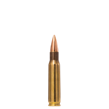 AM.KUL. 308Win. NORMA R&T...