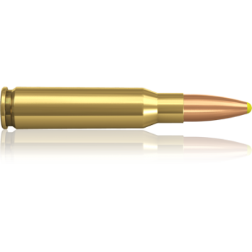 NORMA, .308 Win, PPDC...