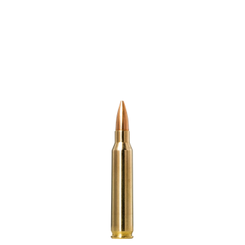 NORMA, 223 Rem. GOLDEN...